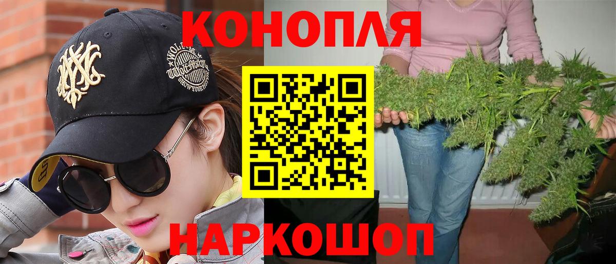 Конопля сатива Валуйки